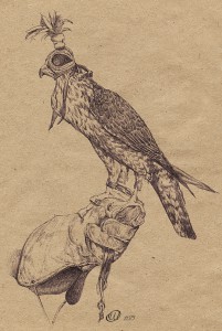 Falcon hunting